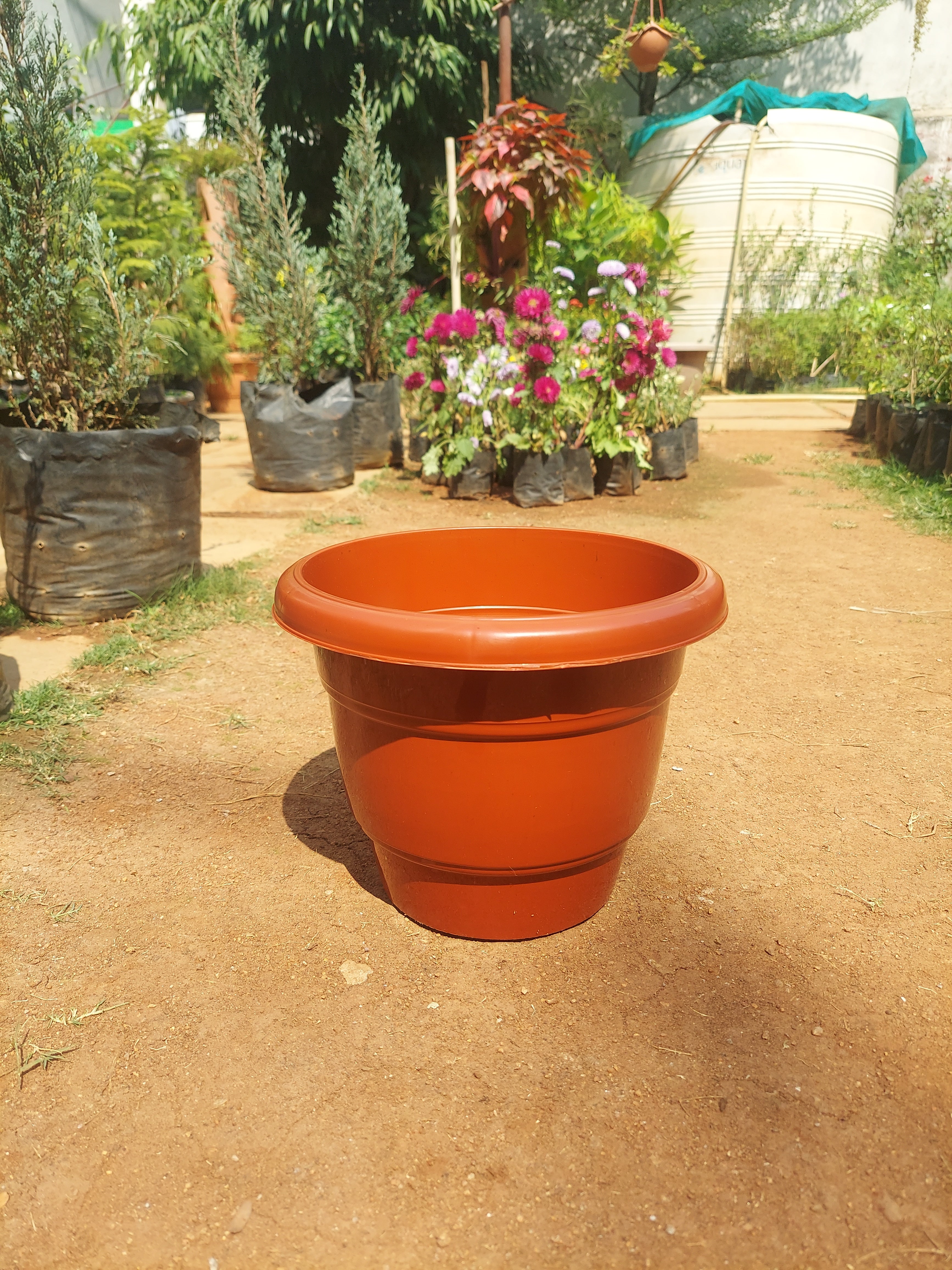 Plant Pot