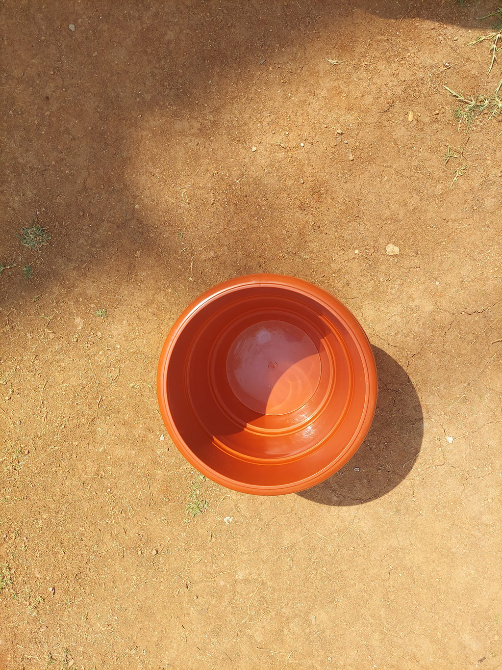 Plant Pot